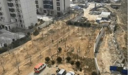 西海岸爆料最新,揭秘最新热点事件背后的真相